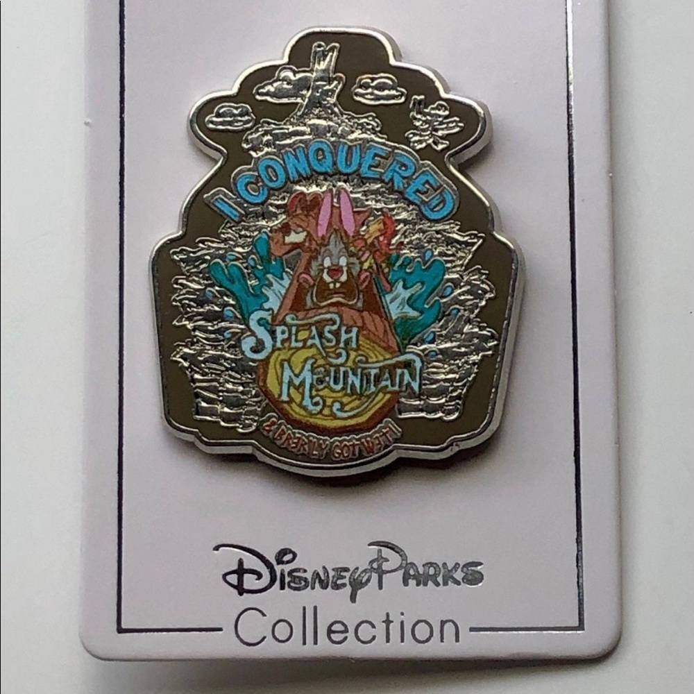 Disney's Splash Mountain Pin I Conquered Splash Mountain 2019 Ride Attraction